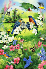 새들의 초록빛 정원 [패밀리]